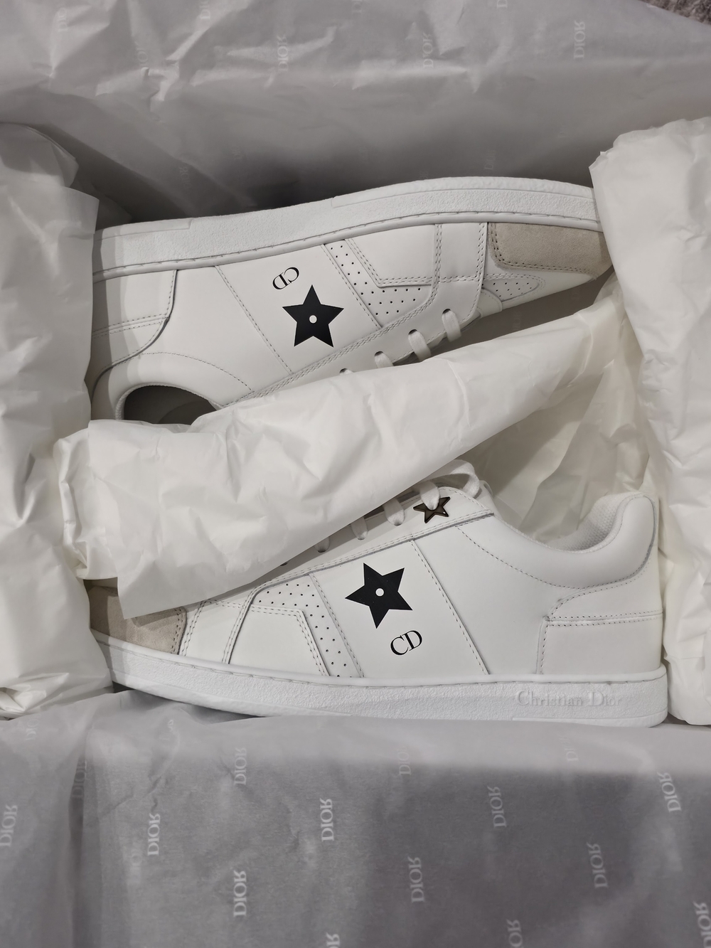 Dior Star Sneaker